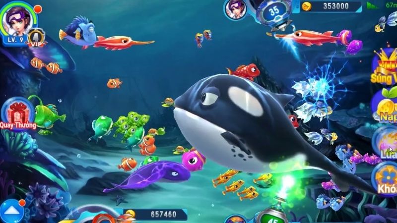 ban-ca-an-xu-mien-phi-gioi-thieu