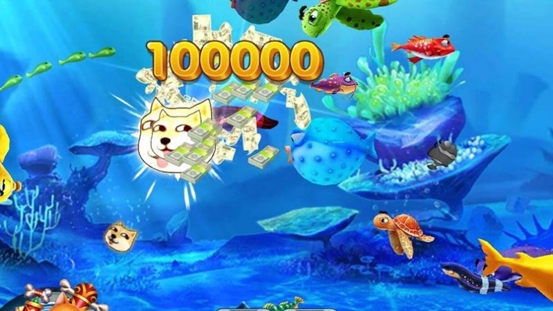 ban-ca-rua-xanh-tong-quan